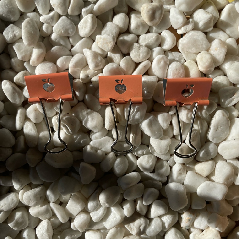 Paper Clips - Picture 7 of 12
